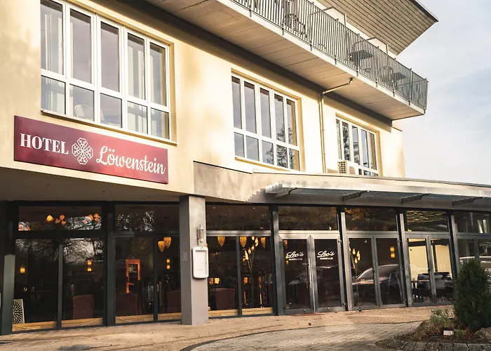 Loewenstein 4*